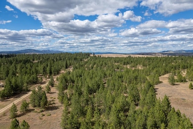 35450 Prairie Ln N unit Lot 2, Creston, WA 99117 - photo 7