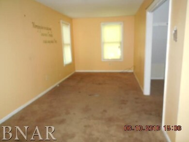 317 W Owsley St, Chenoa, IL 61726 - photo 5