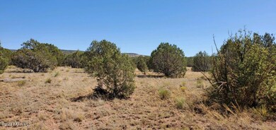 Wide open space