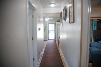 HALL WAY FROM FRONT TO BACK-VIEW