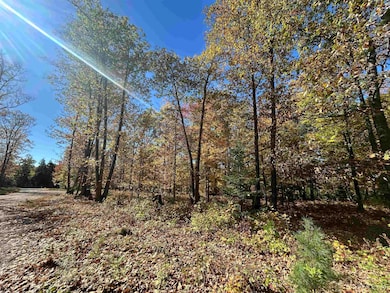 Parcel 1A Bridgeview Ln, Negaunee, MI 49866 - photo 3