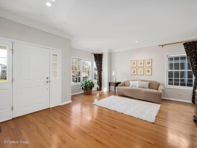 169 N Larch Ave, Elmhurst, IL 60126 - photo 5