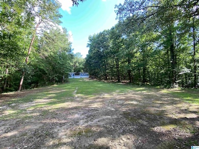 7669 Turner Ln, Mulga, AL 35118 - photo 5