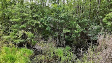 0 Giles Rd unit LotWP002 24182710, Linden, NC 28356 - photo 6