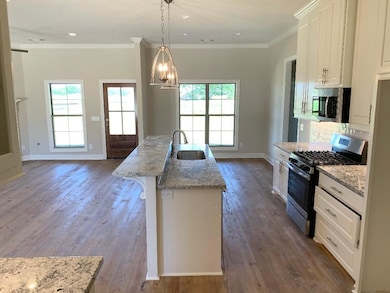 102 St Lucia Dr, Madison, MS 39110 - photo 6