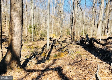 12357 Purcell Rd, Manassas, VA 20112 - photo 3