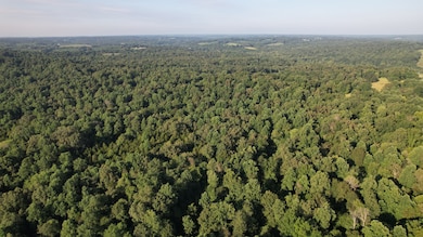 0 Rock Springs Rd unit RTC2964004, Cumberland Furnace, TN 37051 - photo 5