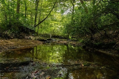 00 Peewee Cromer Rd, Danbury, NC 27016 - photo 3