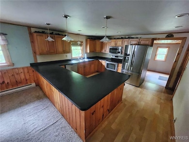 8621 W Bucktooth Run, Little Valley, NY 14755 - photo 3