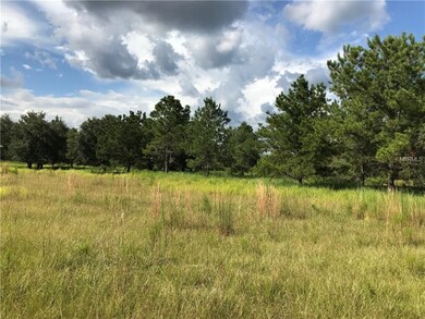 10435 COUNTY ROAD 39, DUETTE, FL 34219
