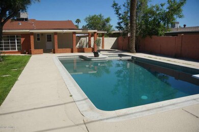 Pool & Backyard