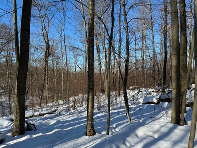 0 Youngsville Rd unit 8-8720, Pittsfield, PA 16340 - photo 6