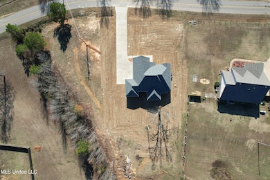 663 Moore Loop, Byhalia, MS 38611 - photo 3