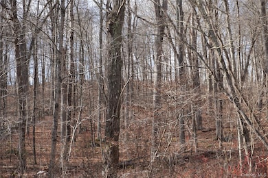 Route 301 New York 301, Carmel Hamlet, NY 10512 - photo 5