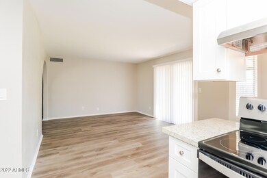 2521 E Dragoon Ave, Mesa, AZ 85204 - photo 6