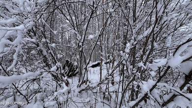 L 735 S Tussle Cir, Willow, AK 99688 - photo 4