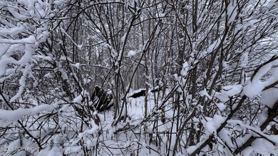 No Number S Tussle Cr Cir, Willow, AK 99688 - photo 4