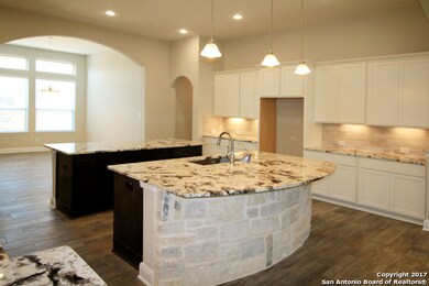 24207 Azul Dawn, San Antonio, TX 78261 - photo 4