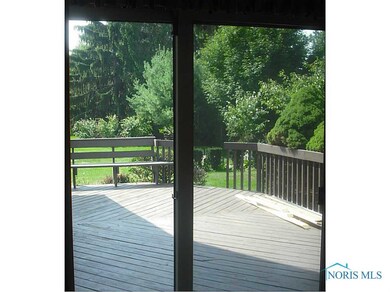 Yard/Garden.
