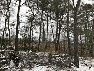 IMG_0349