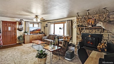 183 Bartimous Rd, Bailey, CO 80421 - photo 6
