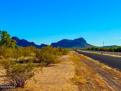 0 W unit 6951225, Aguila, AZ 85320 - photo 2