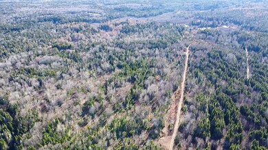 Map 04 Lots #2-15 2-16 Yellow Birch Rd, Whiting, ME 04691 - photo 2