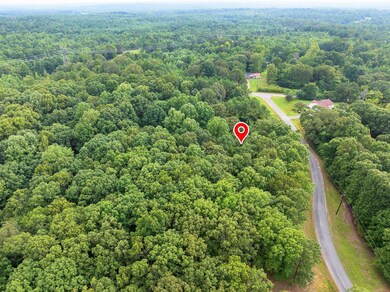Lot 30 Stan Ln, Cedar Grove, TN 38321 - photo 7