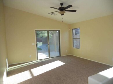 Mesquite Tree 009