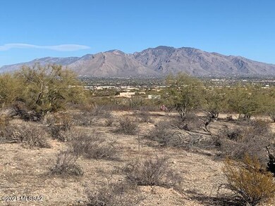 East Catalina Mountain View
