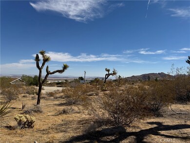 7217 Sunny Vista Rd, Joshua Tree, CA 92252 - photo 5