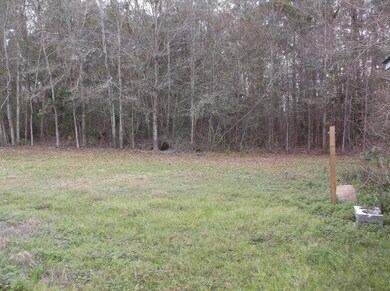 Large Rear Yard