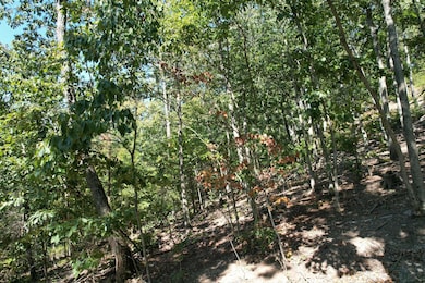 0 Evan Sisters Rd, Flemingsburg, KY 41041 - photo 6