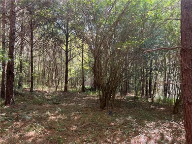 124 S Kelley St, Tallapoosa, GA 30176 - photo 3