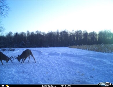 0 Ormsby Rd, Deerbrook, WI 54424 - photo 5