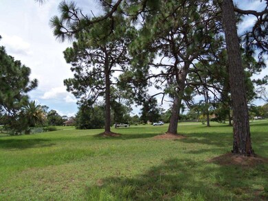 Trees in back of lot