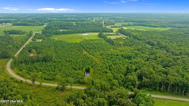 0 Great Swamp Loop unit 100523091, Black Creek, NC 27851 - photo 6