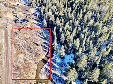 TBD River St, Pitkin, CO 81241 - photo 2