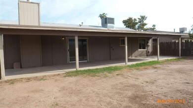 6033 W Palm Lane - Backyard