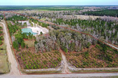 0 Countree Life Way unit 1034074, Callahan, FL 32011 - photo 4