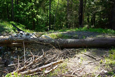 905 Ski Tow Rd, West Windsor, VT 05037 - photo 4