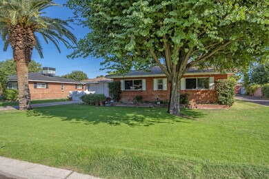 Gorgeous Front Lawn