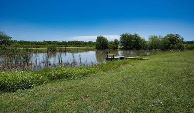 Pond