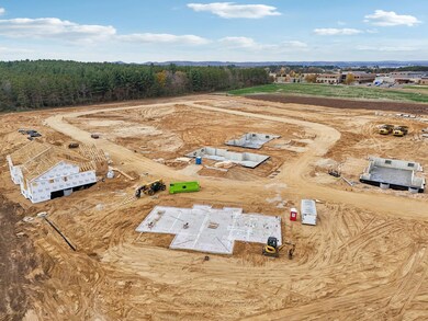 154 Goldenrod Way, Prairie Du Sac, WI 53578 - photo 5