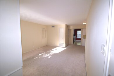 Unfurnished room with light carpet