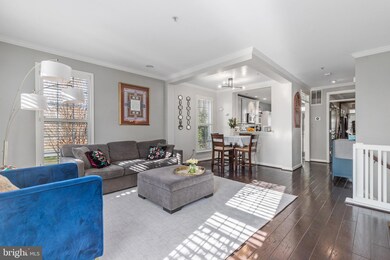 735 Massey Ln unit A, Alexandria, VA 22314 - photo 2