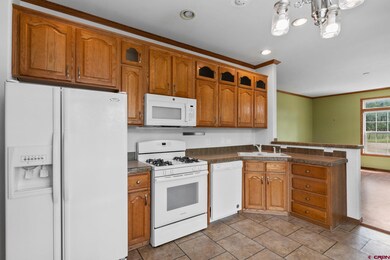 321 Meadow View Rd, Durango, CO 81301 - photo 6