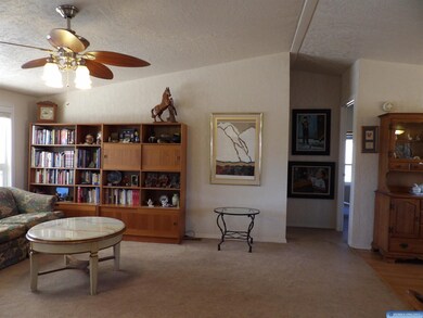 5151 Little Walnut Rd, Silver City, NM 88061 - photo 6