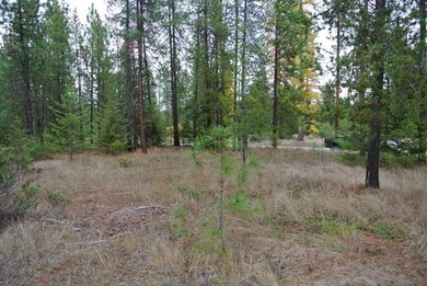 365 Hogans Way, Chewelah, WA 99109 - photo 2