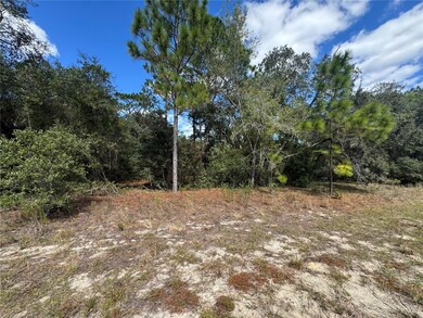 3341 W Wilhelm St, Citrus Springs, FL 34433 - photo 3